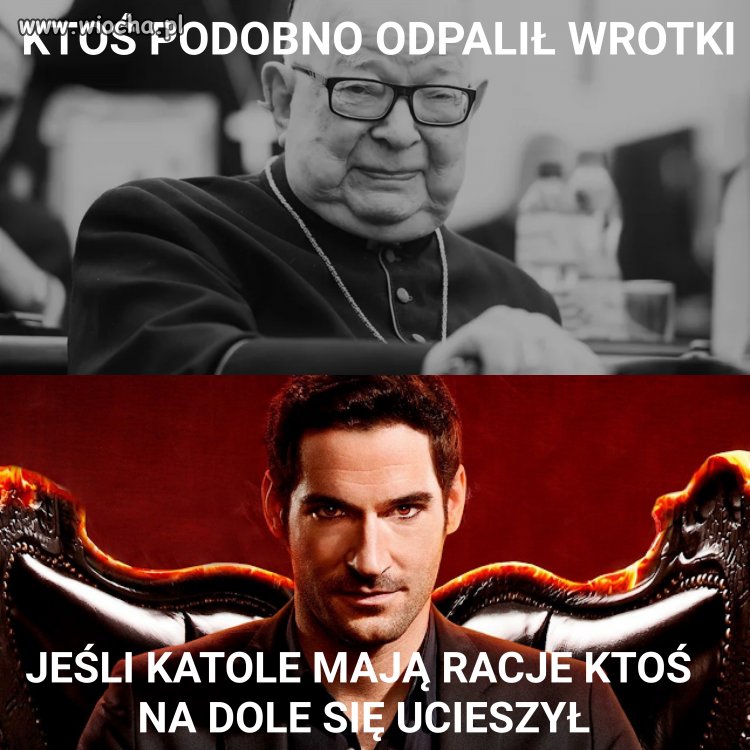 Śpieszmy się kochać biszkoptów. Tak szybko spadają...