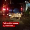 POLSKA