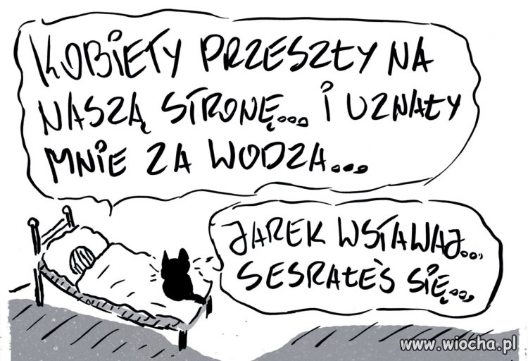 Brak tematu