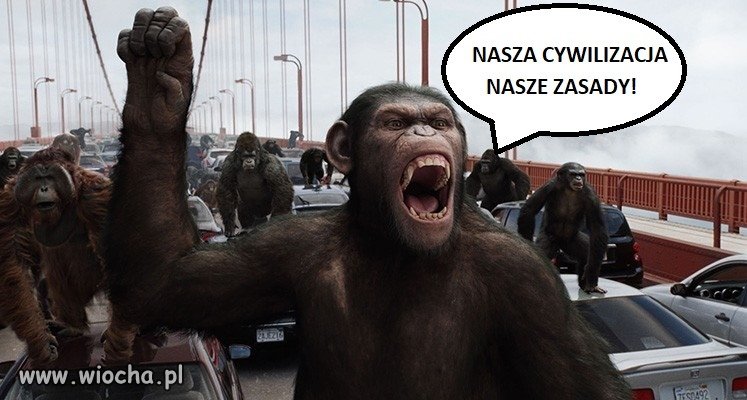 Marsz Niepodległości 2020