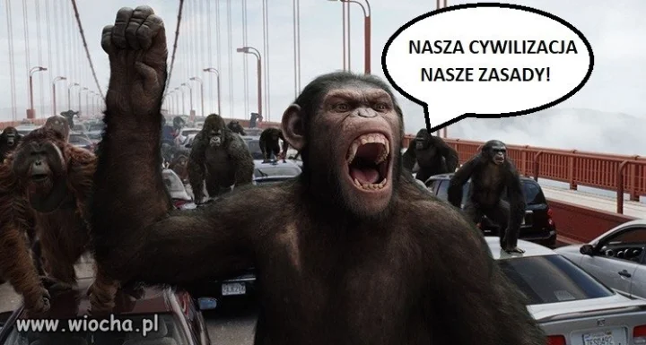 Marsz Niepodległości 2020