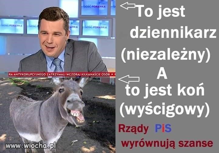 Dziennikarz niezależny