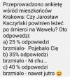 Ankieta w Krakowie...