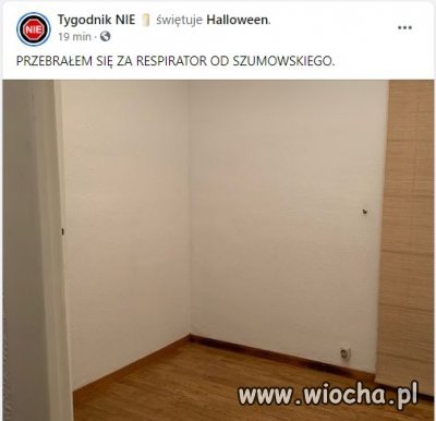 Uszaty jak zwykle w formie