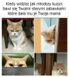 Co to za rasa?