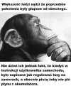 Szach i mat