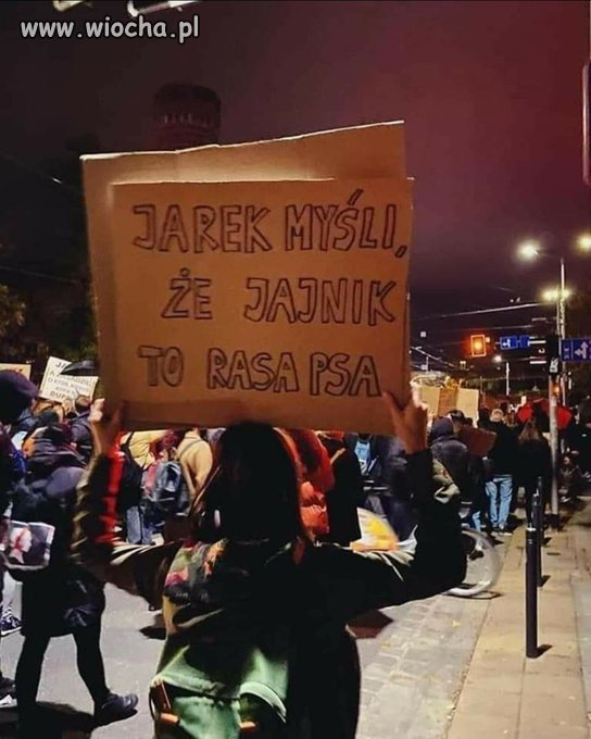Cały Jarek