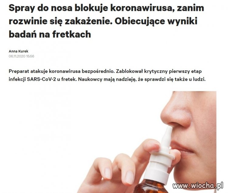 Fretki bez covidka