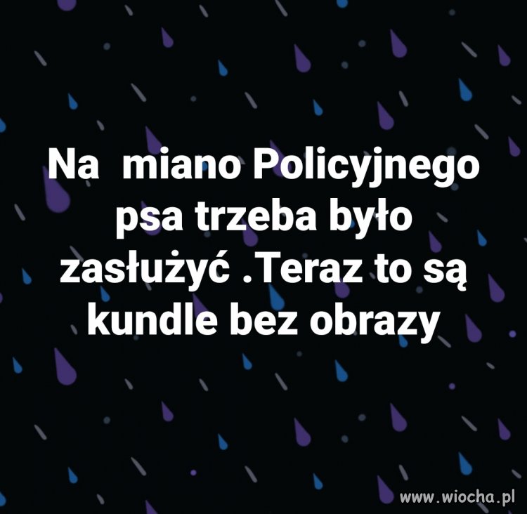 Zwykle