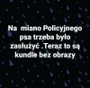 Zwykle
