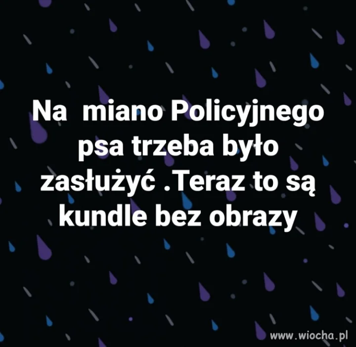 Zwykle