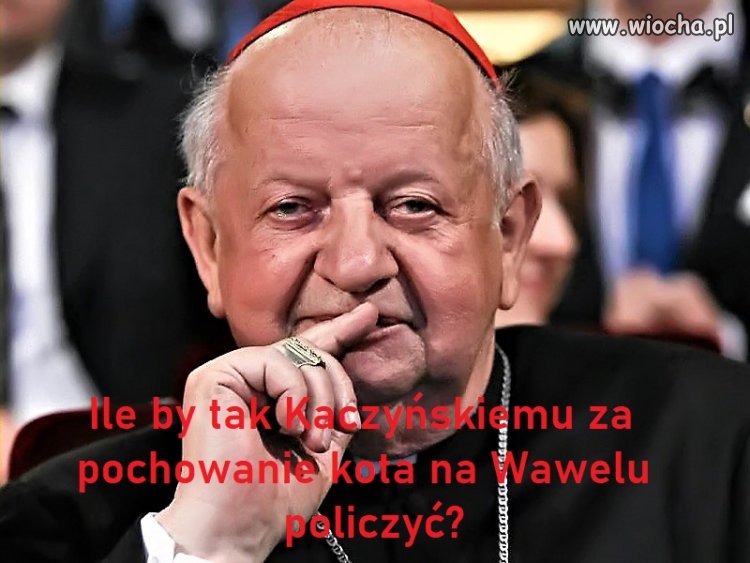 Bez tytułu.