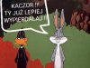 Kaczor
