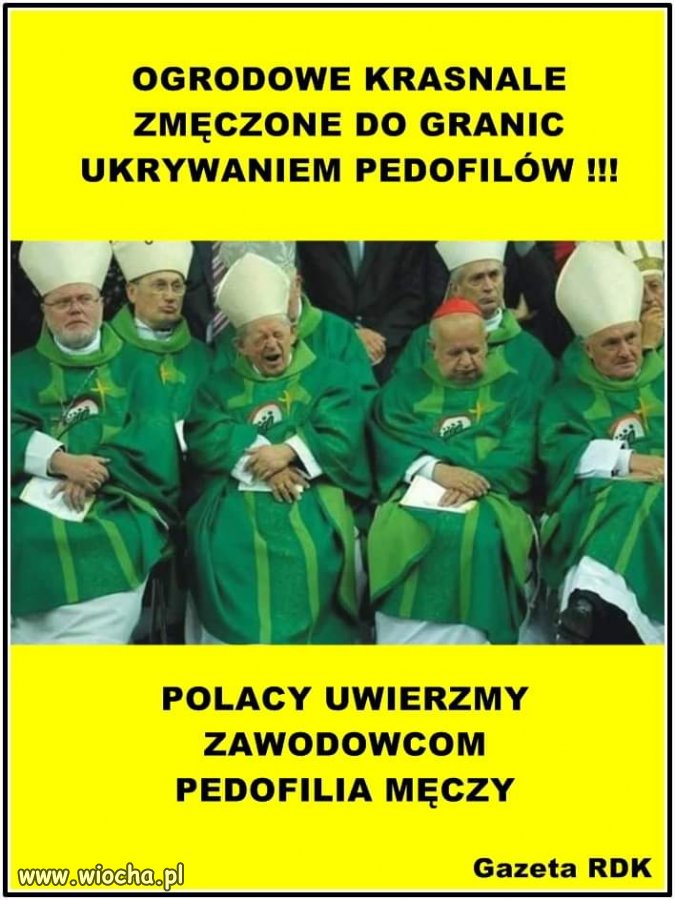 Ukrywanie pedofilii męczy 