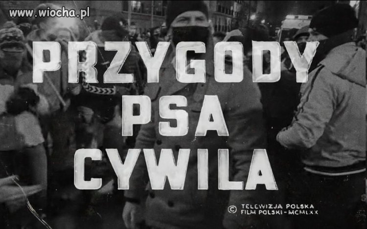Przygody psa Cywila