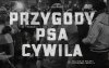 Przygody psa Cywila