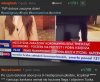 Dzień z tvpiss