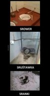 Takie tam sracze