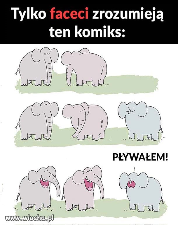 Dzień bez polityki 