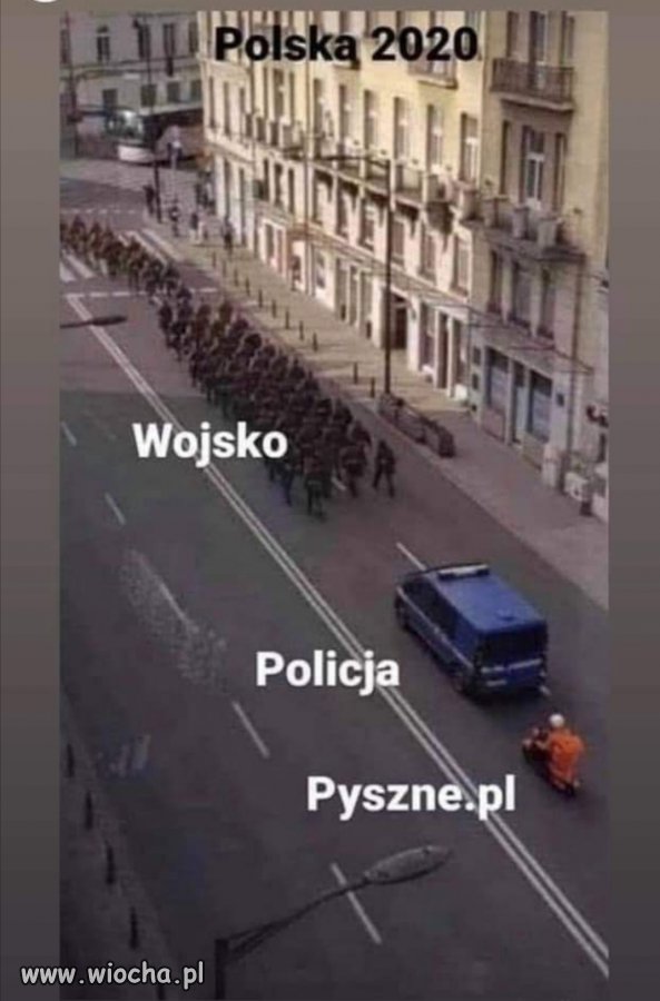 Matołuszek 