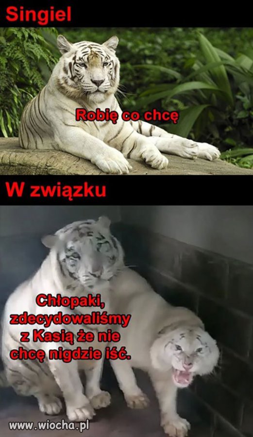 Ilu z was tak ma? 