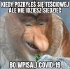 Sprytny Janusz