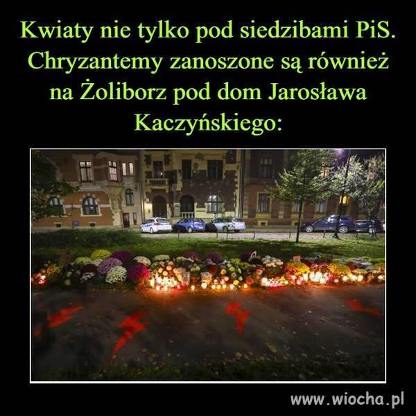 Jarek w życiu nie dostał nigdy tyle kwiatów ...
