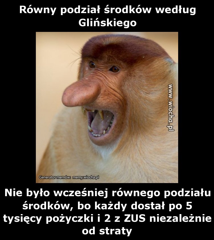 Równy podział środków według Glińskiego