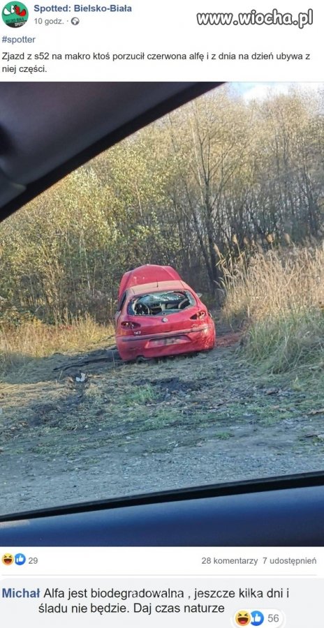 Alfa-eko