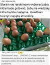 Jajka i psychol