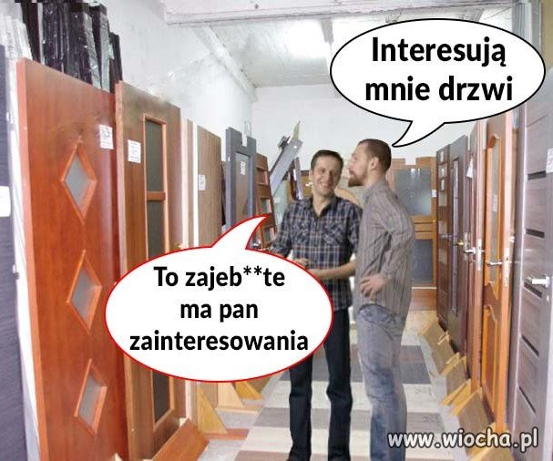 Zainteresowania 
