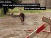 Tytuł zbędny