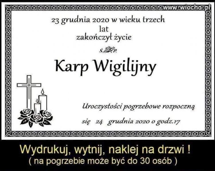 Ciekawe, czy by przeszło 