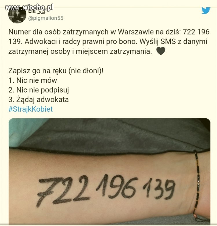 Nie dajcie się dziewuchy pisowskim pałom!