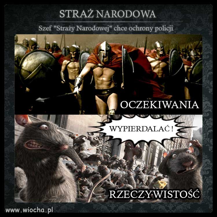 Wodz straży narodowej żąda ochrony policji