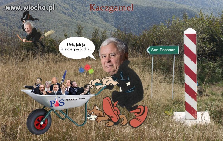 Kaczgamel