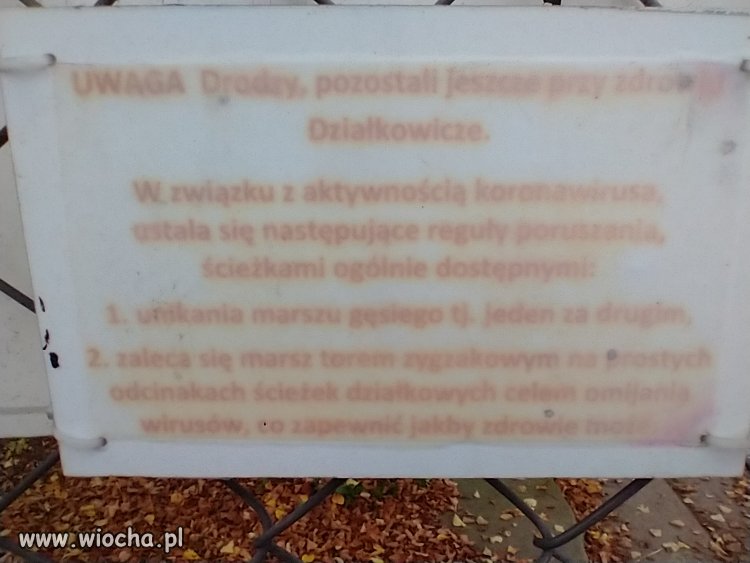 Instrukcja poruszania się