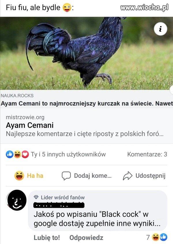 Wielki ptak