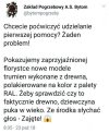 Zajęte