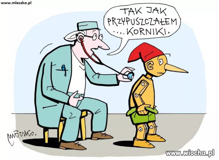 Korniki 