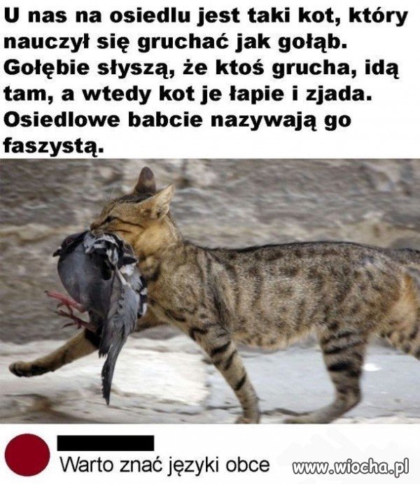 Nauka