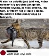 Nauka