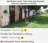 Ogrodzenie z drzwi