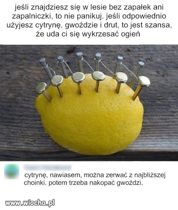 Niezbędnik w lesie