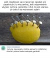 Niezbędnik w lesie