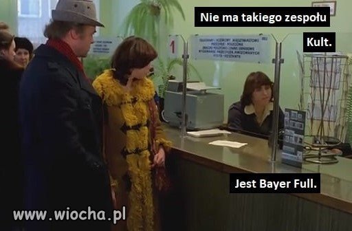 Bareja ciągle żywy 