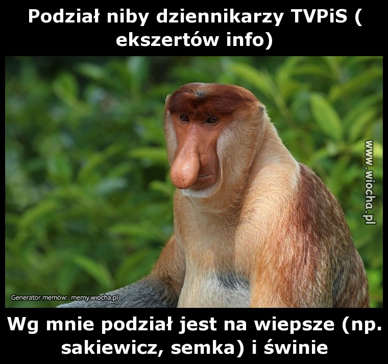 Podział niby dziennikarzy TVPiS (ekszertów info)