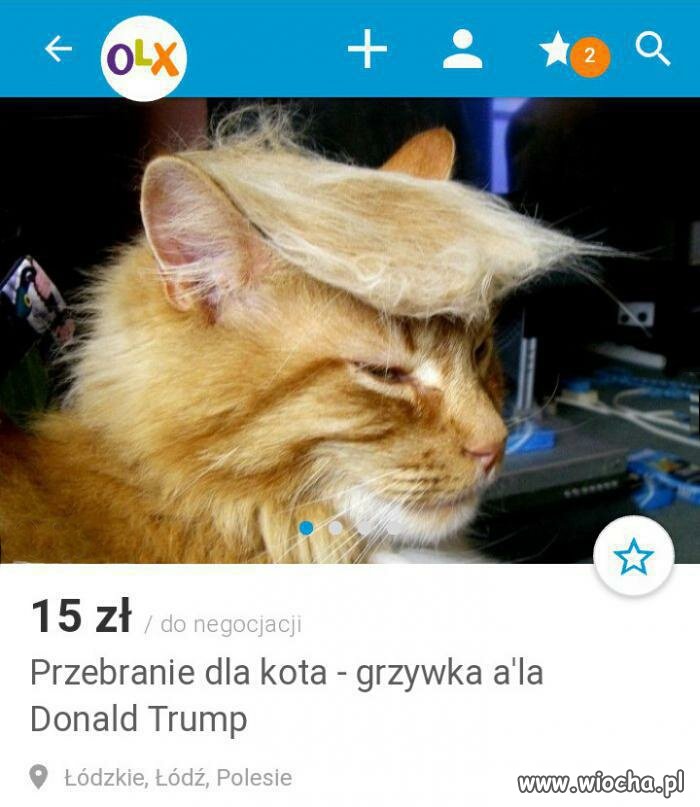 Dla wszystkich zwolenników Trumpa