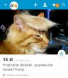 Dla wszystkich zwolenników Trumpa