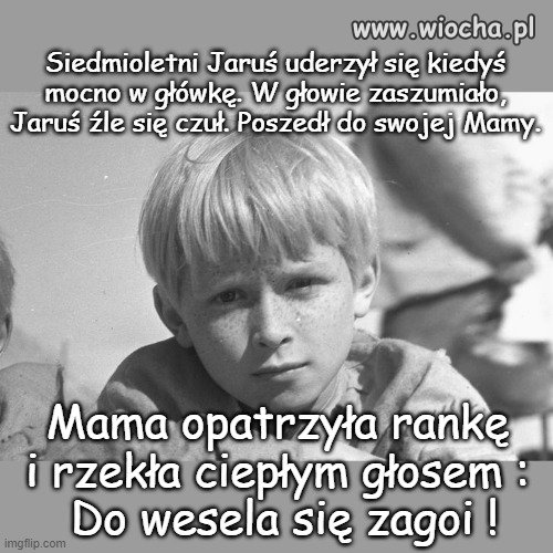Przysłowia polskie :